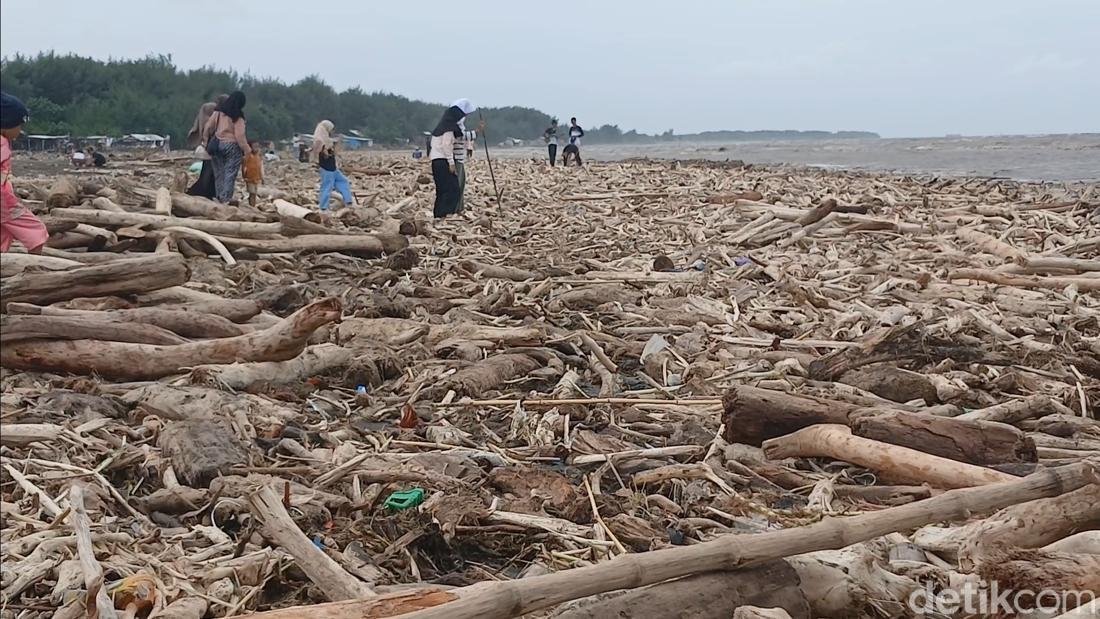 Banjir Bandang Lereng Gunung Slamet Bawa Kayu Gelondongan, Walhi Soroti Indikasi Deforestasi dan Kelalaian Mitigasi